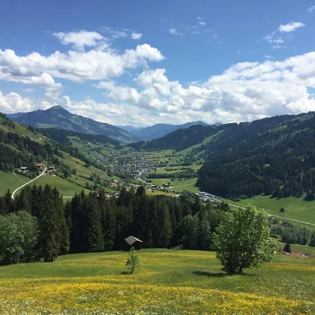 Sonnenalp Mountainview Appartamento Niederau